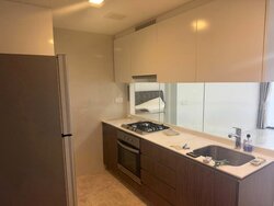 The Lakefront Residences (D22), Condominium #478843561